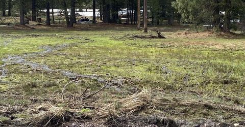 678-790 Highway 36, Westwood, CA 96137 Photo