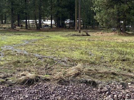 678-790 Highway 36, Westwood, CA 96137 Photo