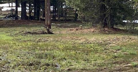 678-790 Highway 36, Westwood, CA 96137 Photo