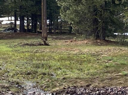 678-790 Highway 36, Westwood, CA 96137 Photo