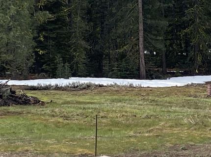 678-790 Highway 36, Westwood, CA 96137 Photo