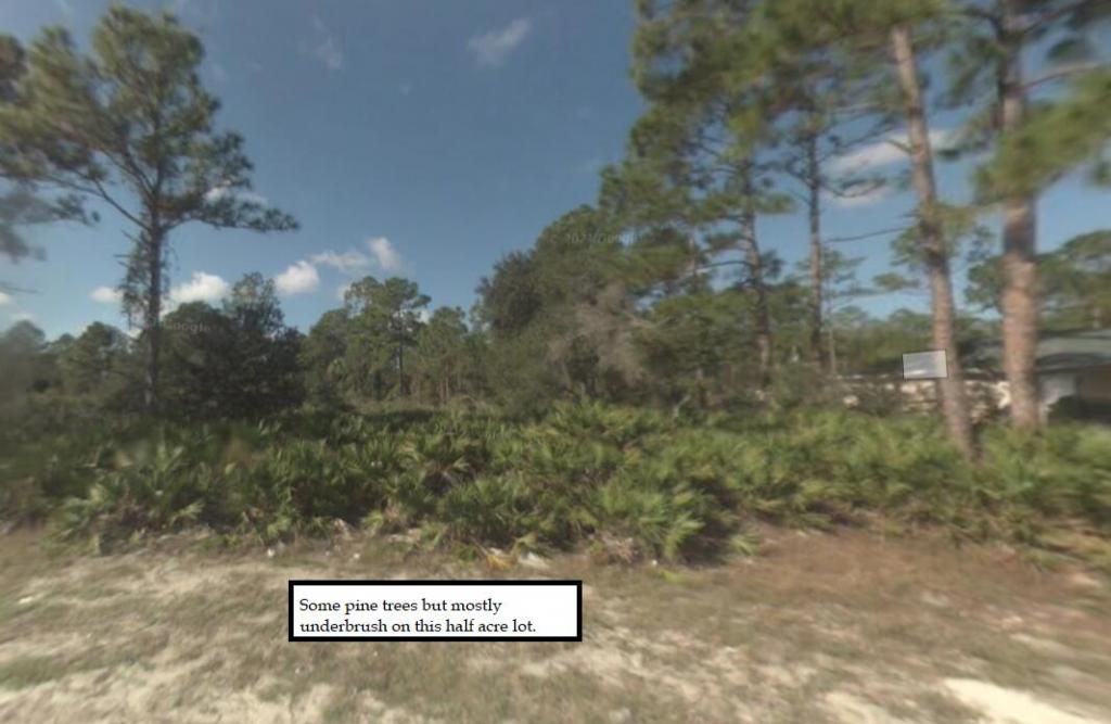 2309 Johns Avenue, Alva, FL 33920 Photo