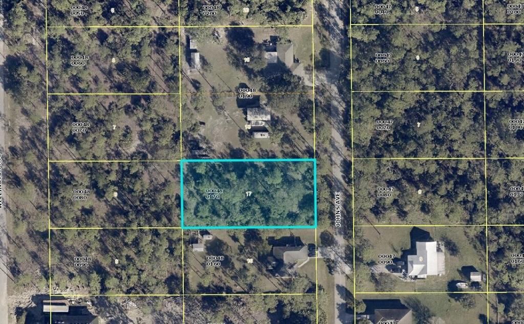 2309 Johns Avenue, Alva, FL 33920 Photo