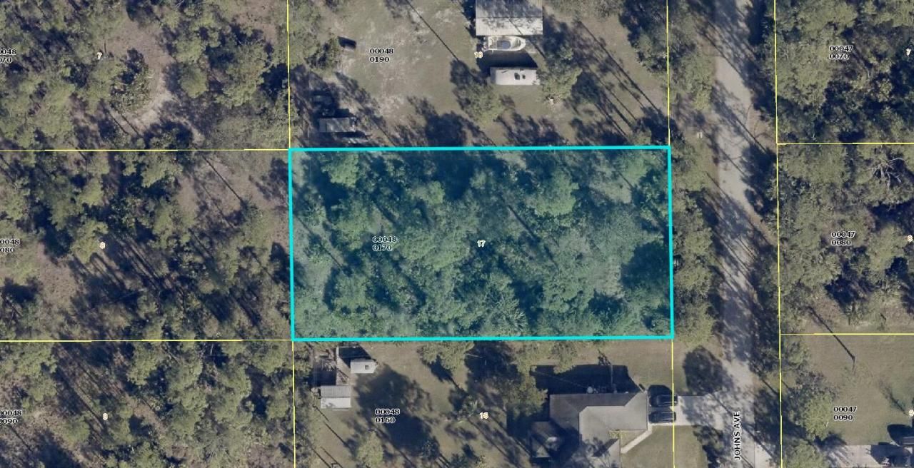 2309 Johns Avenue, Alva, FL 33920 Photo