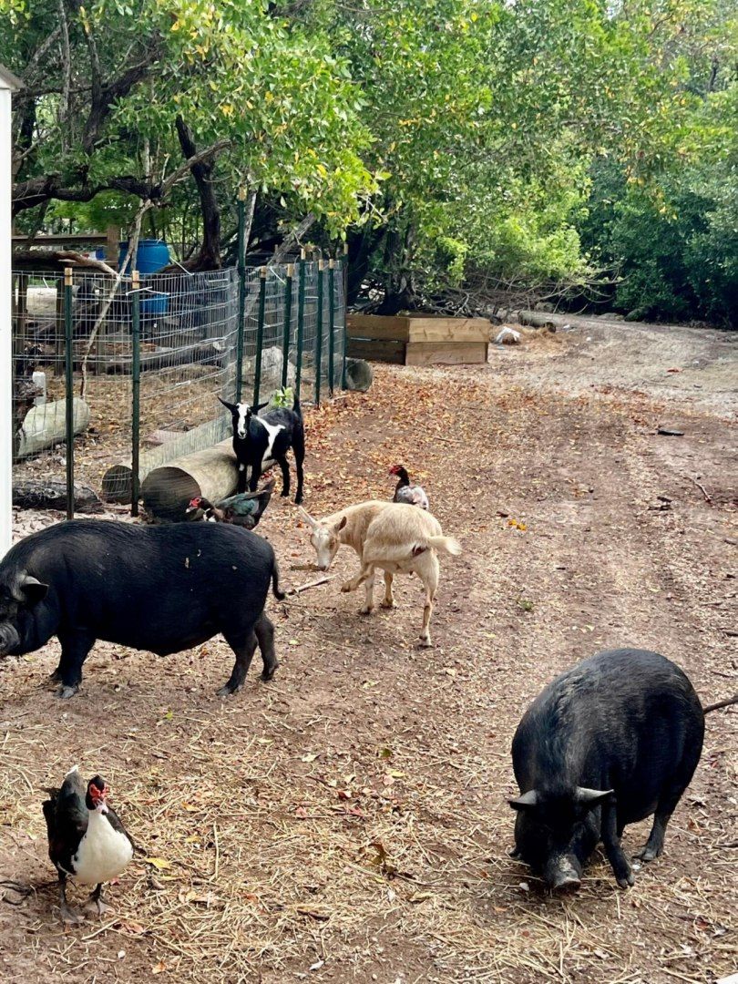 7200 5th Street, Stock Island, FL 33040 Photo