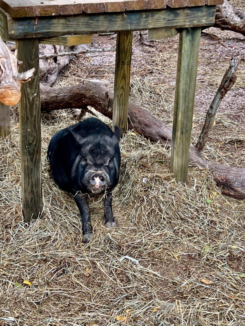 7200 5th Street, Stock Island, FL 33040 Photo