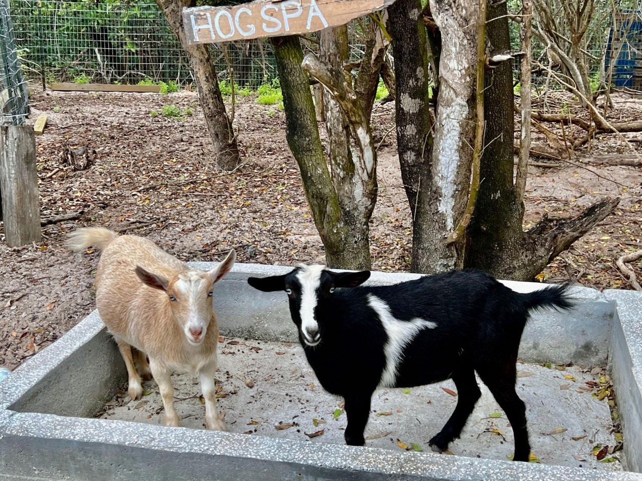 7200 5th Street, Stock Island, FL 33040 Photo