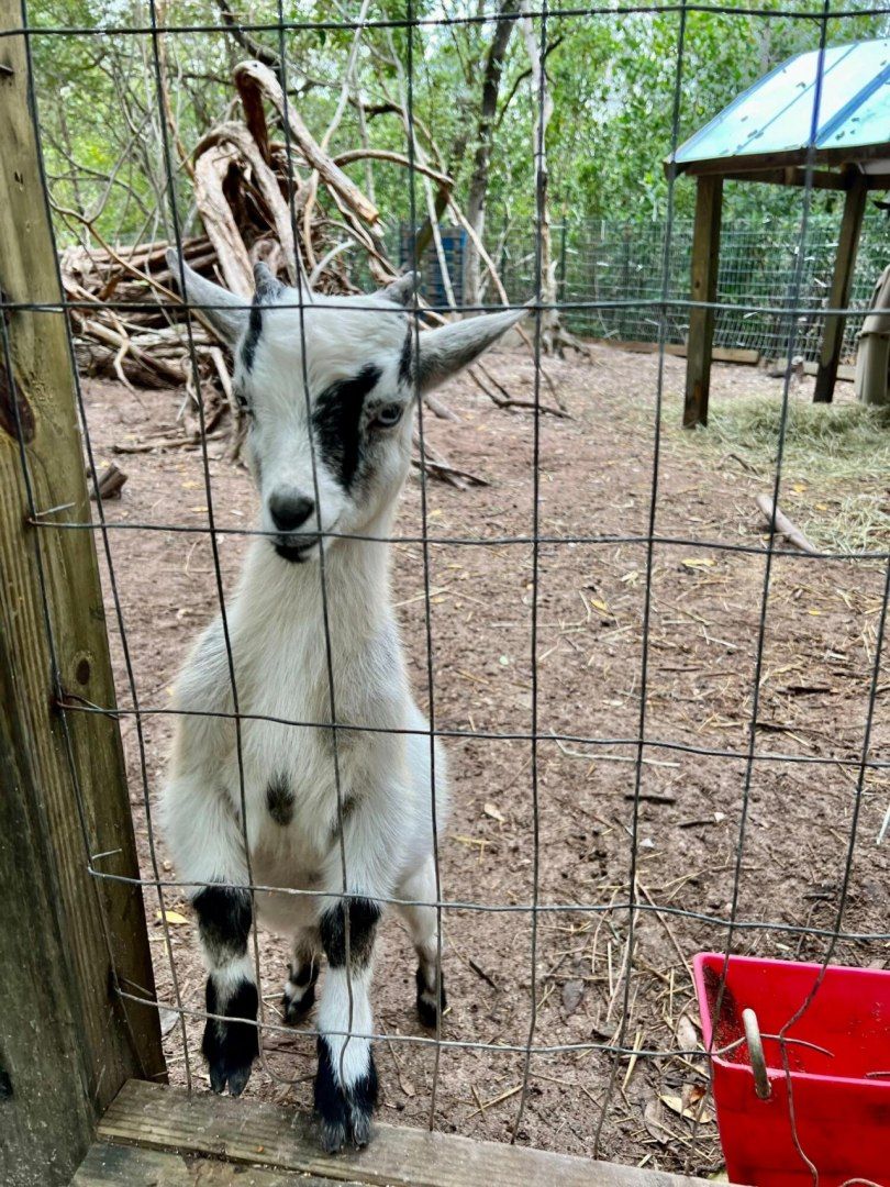 7200 5th Street, Stock Island, FL 33040 Photo