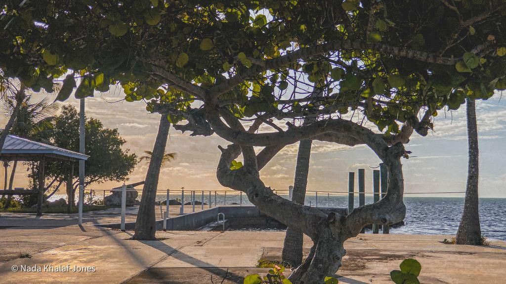 95351 Overseas Highway, Key Largo, FL 33037 Photo