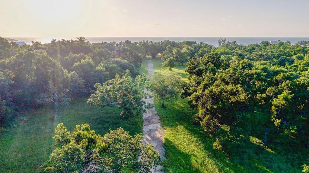 95351 Overseas Highway, Key Largo, FL 33037 Photo