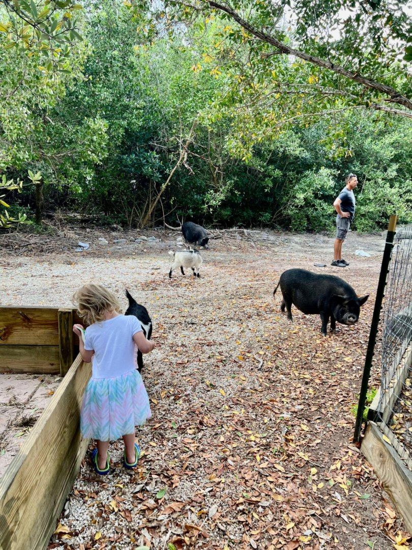 7200 5th Street, Stock Island, FL 33040 Photo