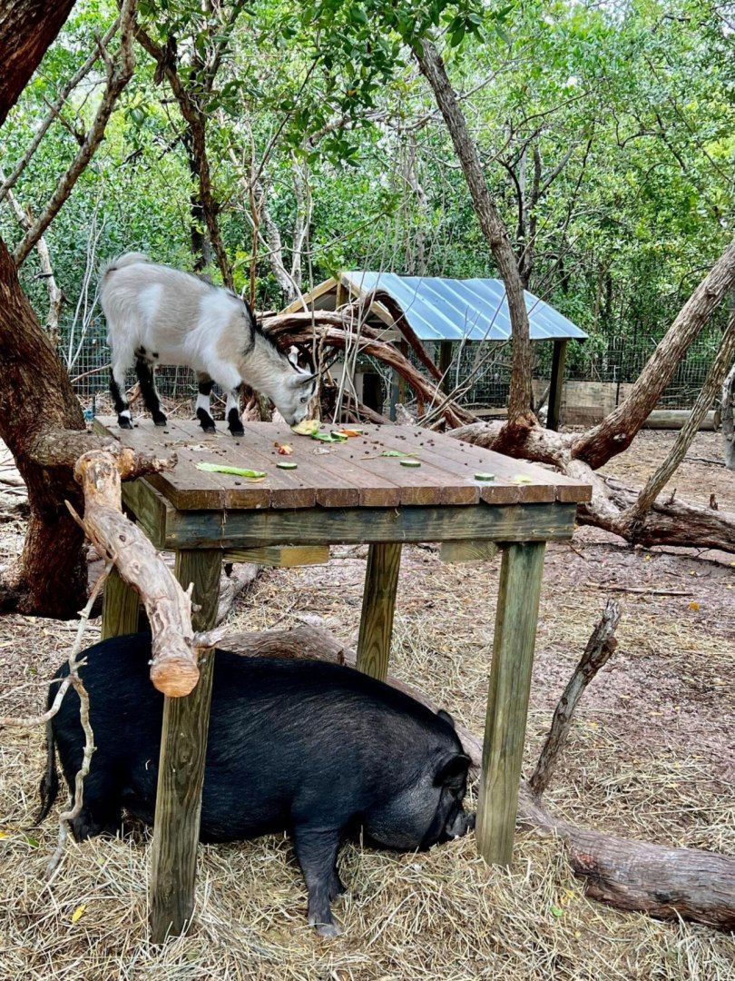 7200 5th Street, Stock Island, FL 33040 Photo