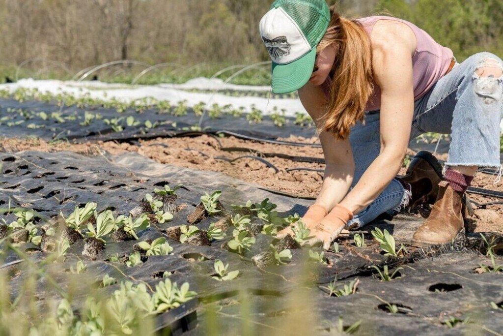 7200 5th Street, Stock Island, FL 33040 Photo