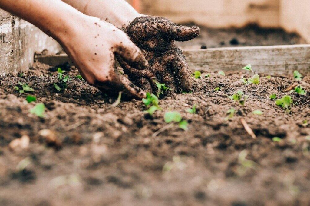 7200 5th Street, Stock Island, FL 33040 Photo