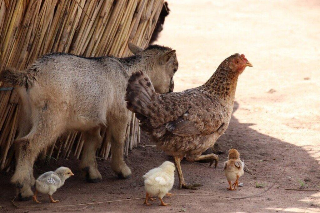 7200 5th Street, Stock Island, FL 33040 Photo