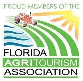 7200 5th Street, Stock Island, FL 33040 Photo