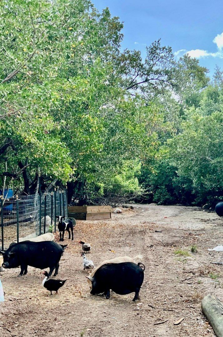 7200 5th Street, Stock Island, FL 33040 Photo