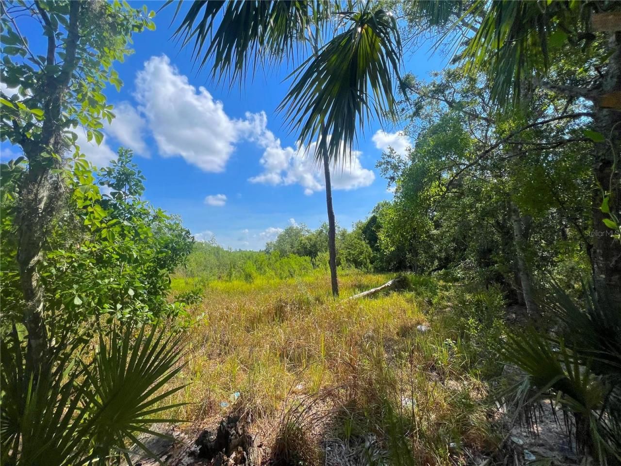 W Irlo Bronson Memorial Highway, Kissimmee, FL 34746 Photo