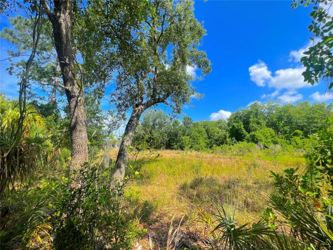 W Irlo Bronson Memorial Highway, Kissimmee, FL 34746 Photo