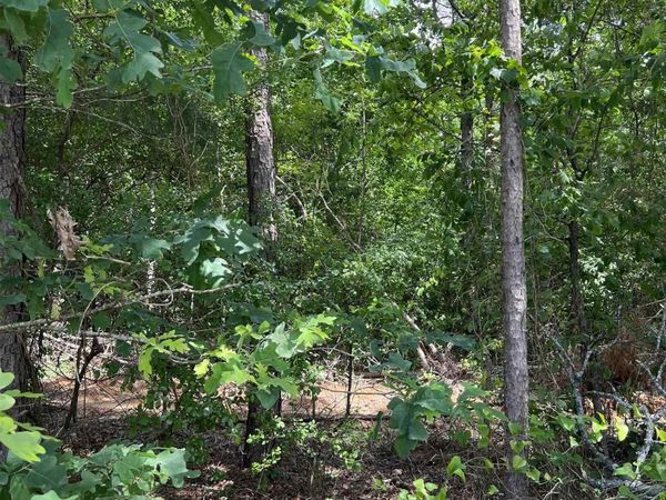 xx lot #2 ROSBORO, Glenwood, AR 71943