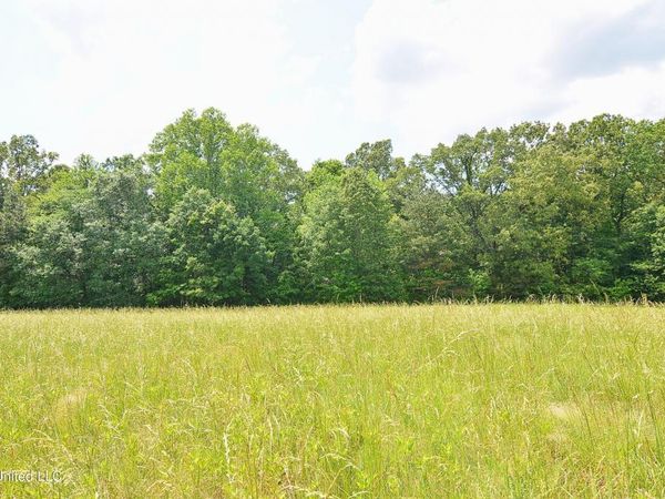 2603 Plank Road, Hernando, MS 38632