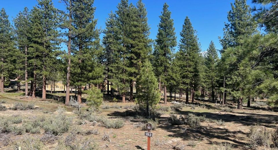 3562 Knob Point Trail, Lot #103, Carson City, NV 89705 Photo