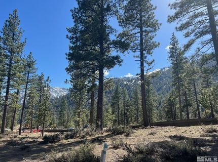 3562 Knob Point Trail, Lot #103, Carson City, NV 89705 Photo