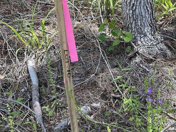 XX lot 10 CASTLE, Glenwood, AR 71943