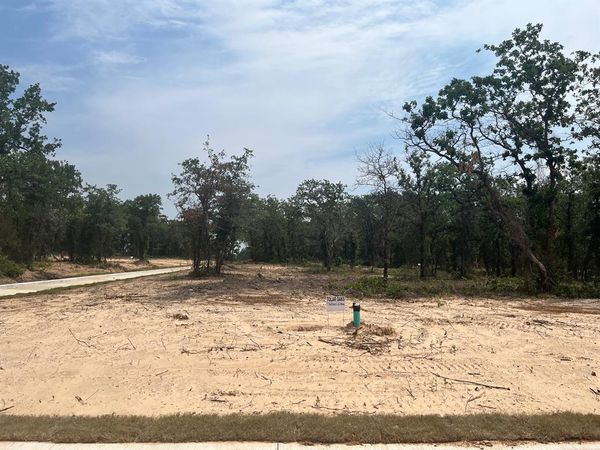 436 Peace Lily Way, Tolar, TX 76476