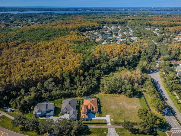 4390 TARPON LAKE BOULEVARD, PALM HARBOR, FL 34685