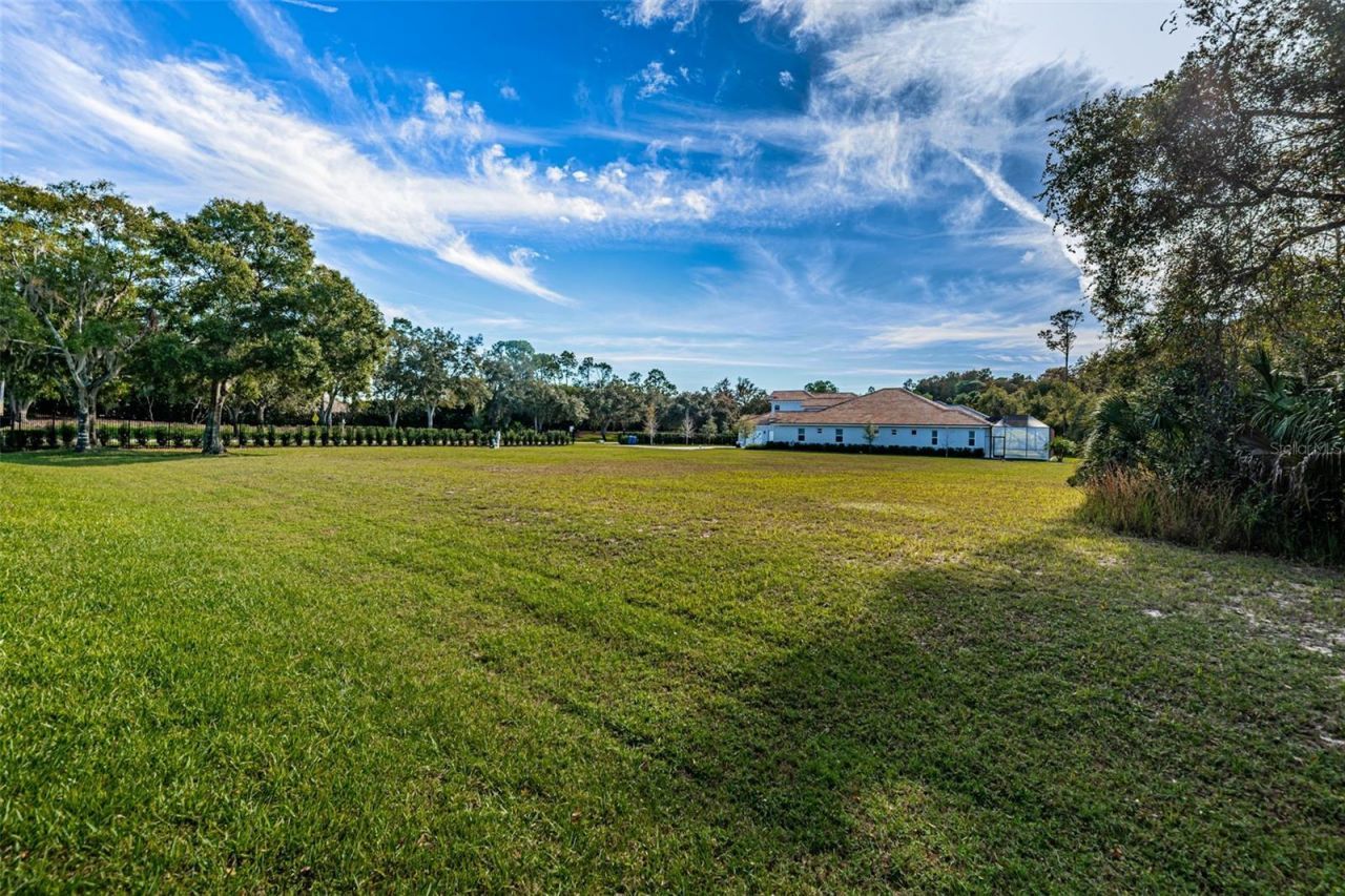 4390 Tarpon Lake Boulevard, Palm Harbor, FL 34685 Photo