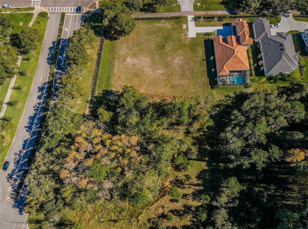 4390 Tarpon Lake Boulevard, Palm Harbor, FL 34685 Photo