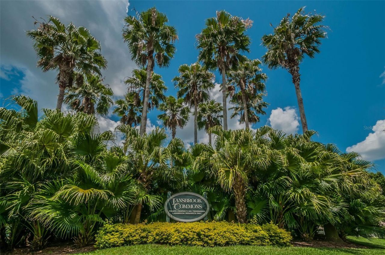 4390 Tarpon Lake Boulevard, Palm Harbor, FL 34685 Photo