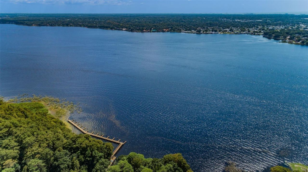 4390 Tarpon Lake Boulevard, Palm Harbor, FL 34685 Photo