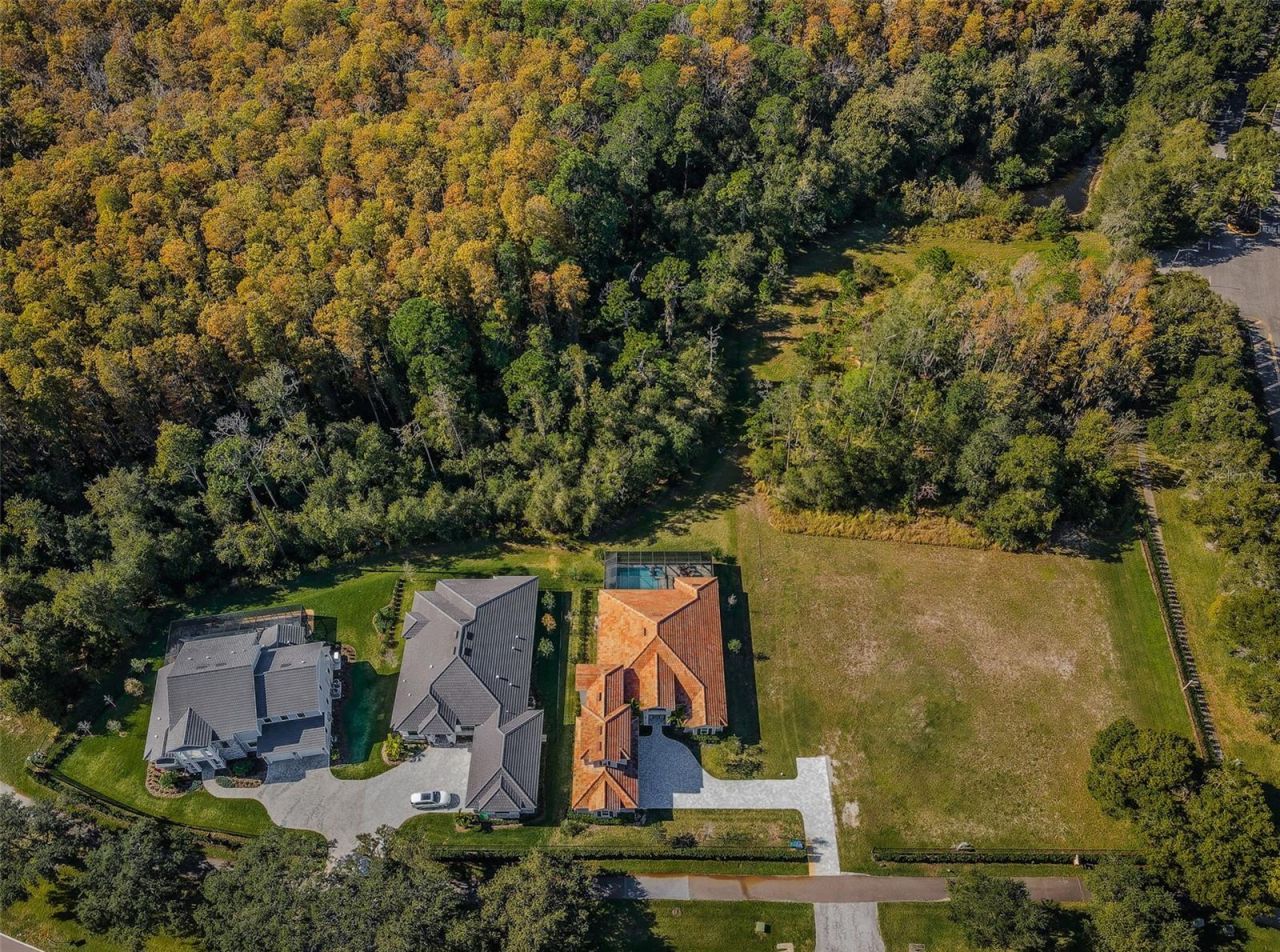 4390 Tarpon Lake Boulevard, Palm Harbor, FL 34685 Photo