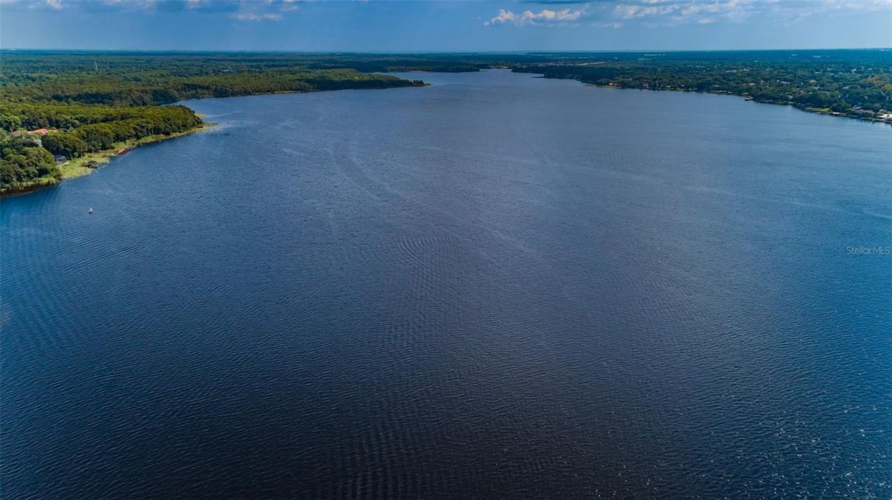 4390 Tarpon Lake Boulevard, Palm Harbor, FL 34685 Photo