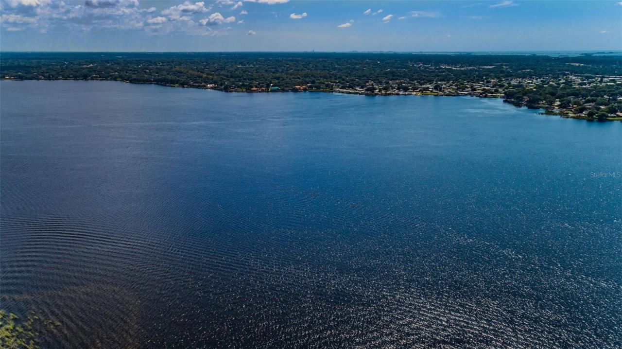 4390 Tarpon Lake Boulevard, Palm Harbor, FL 34685 Photo