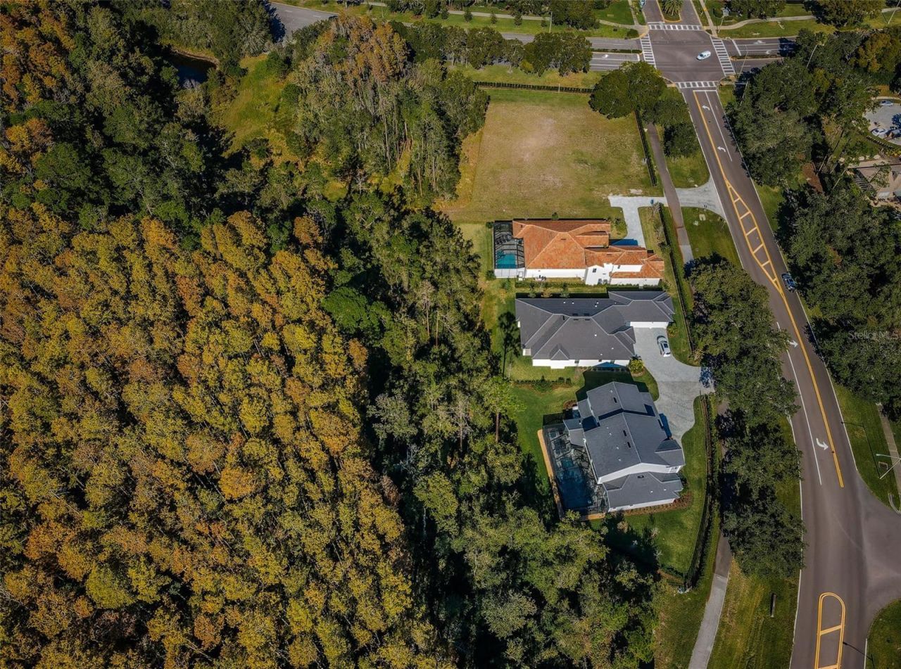 4390 Tarpon Lake Boulevard, Palm Harbor, FL 34685 Photo