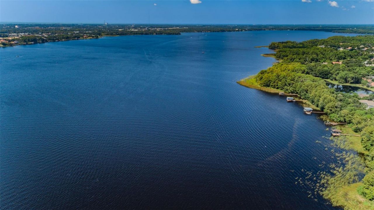 4390 Tarpon Lake Boulevard, Palm Harbor, FL 34685 Photo