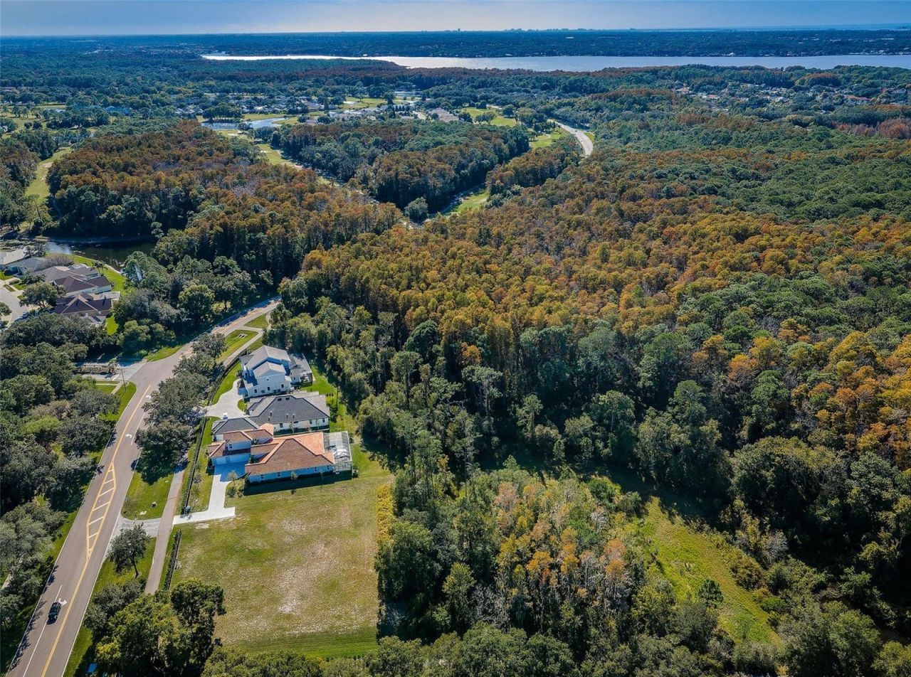 4390 Tarpon Lake Boulevard, Palm Harbor, FL 34685 Photo