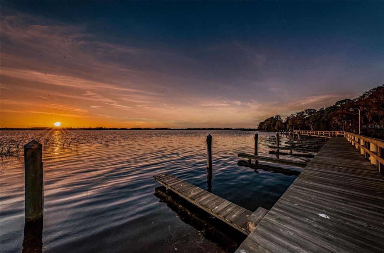 4390 Tarpon Lake Boulevard, Palm Harbor, FL 34685 Photo