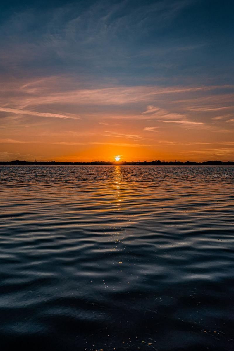 4390 Tarpon Lake Boulevard, Palm Harbor, FL 34685 Photo