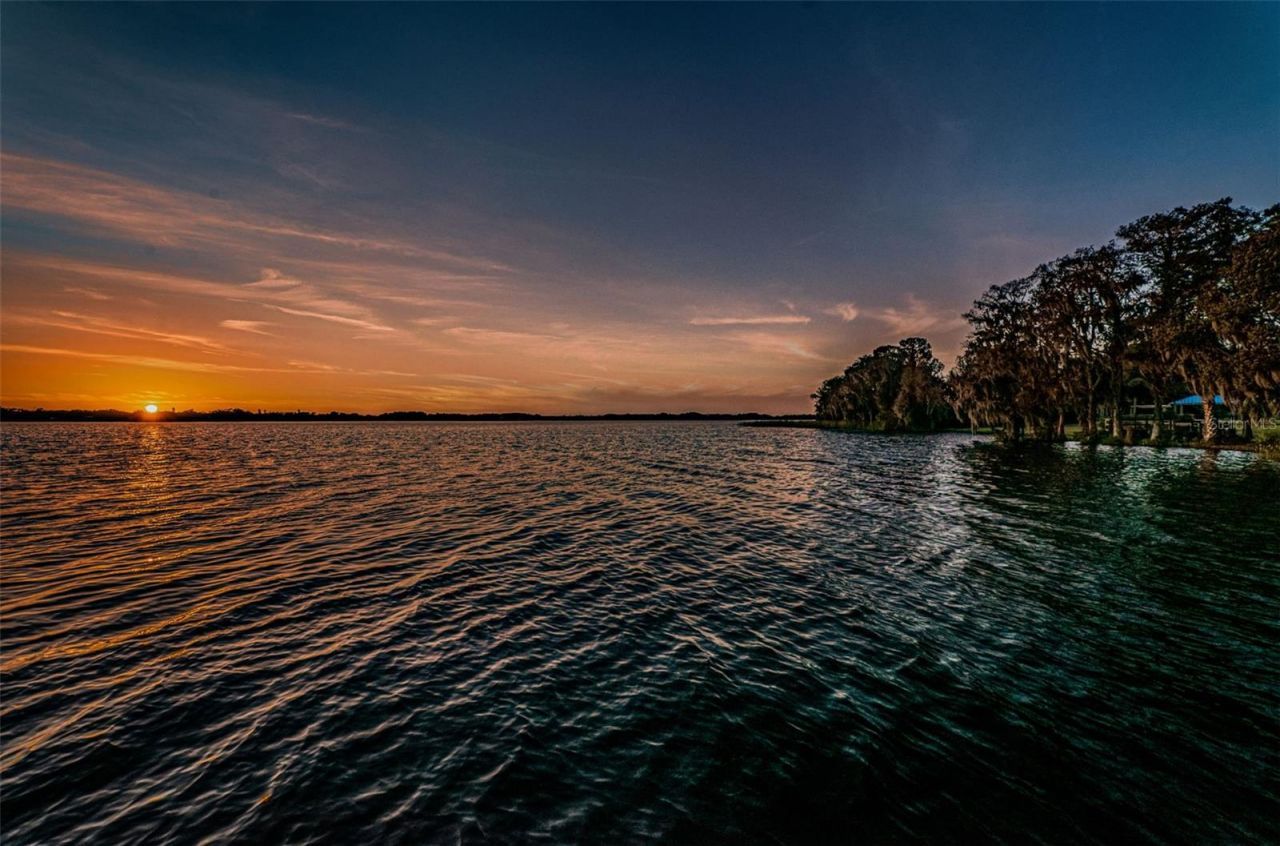 4390 Tarpon Lake Boulevard, Palm Harbor, FL 34685 Photo