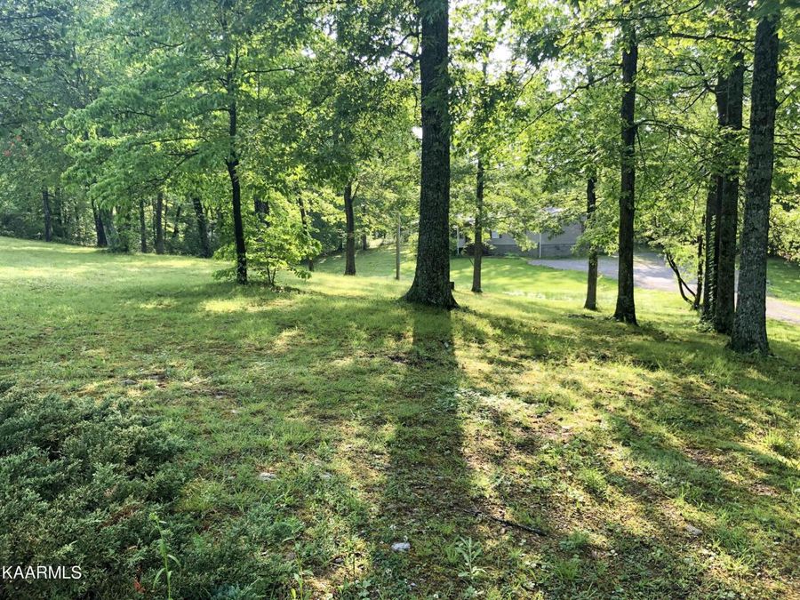 Property Image 55