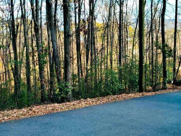 1808 Brown Street, Guntersville, AL 35976