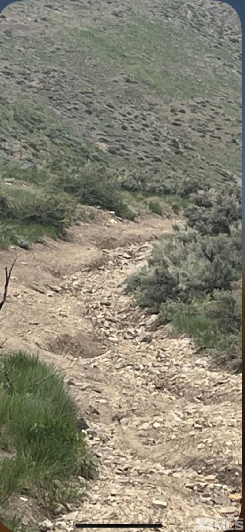 0 None, Gardnerville, NV 89410 Photo