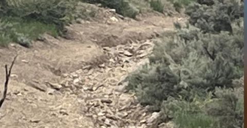 0 None, Gardnerville, NV 89410 Photo