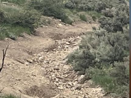 0 None, Gardnerville, NV 89410 Photo