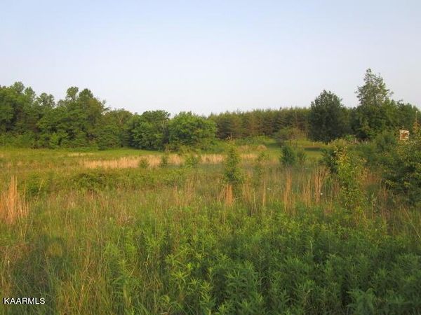 Washington Pike, Luttrell, TN 37779