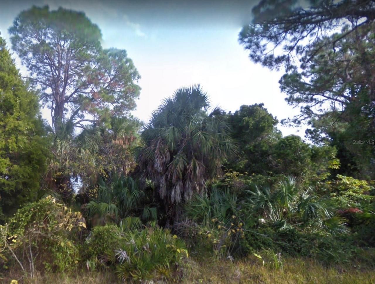 Lot 2 SW 165th Avenue, Cedar Key, FL 32625 Photo